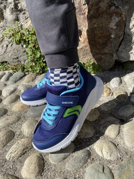 Geox sprinty blu